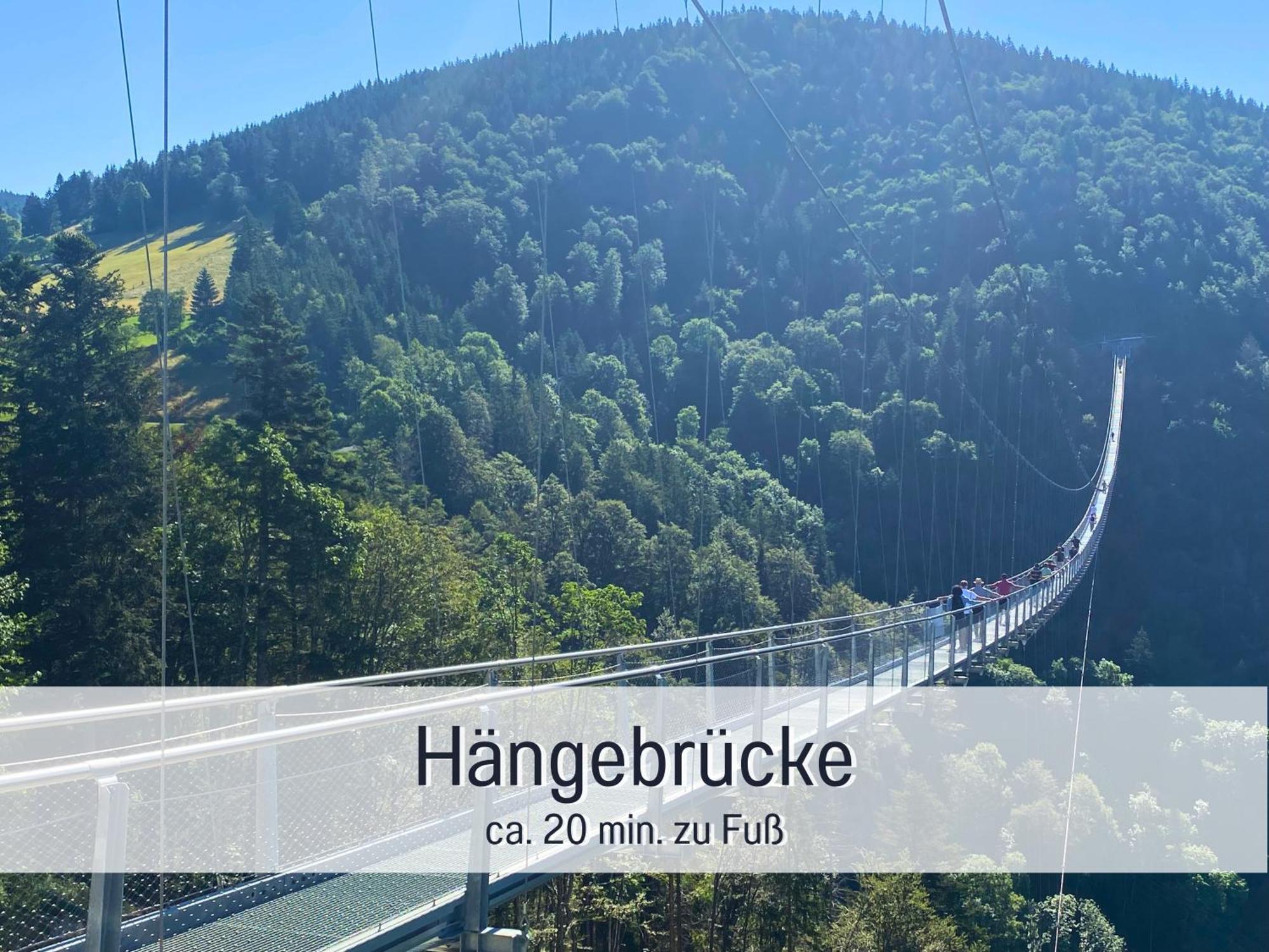 Herzgruen Direkt An Traumhaften Wanderwegen Balkon Mit Toller Aussicht Sauna Im Haus Tiefgarage E-Ladestation Todtnauberg Kültér fotó