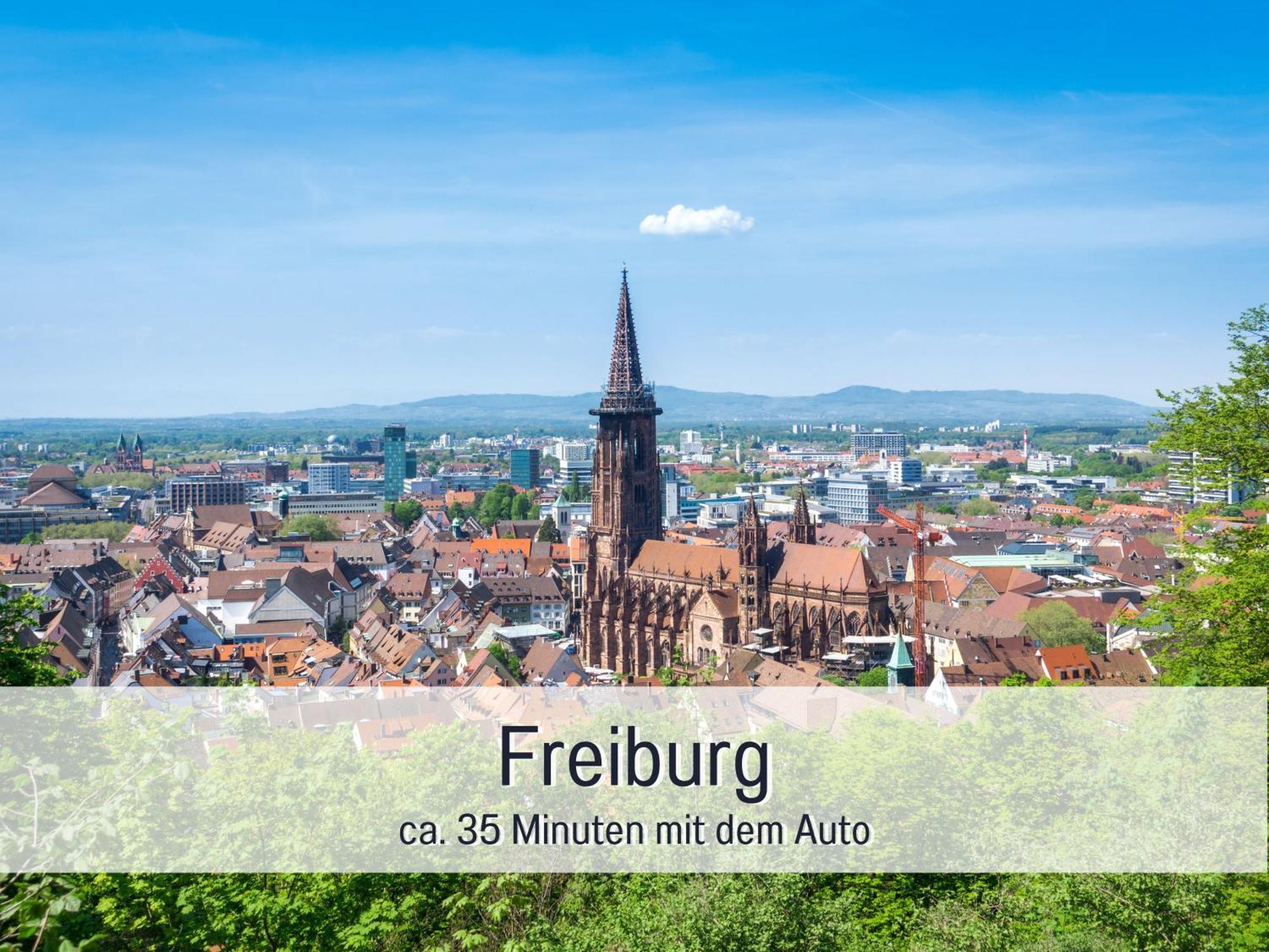Herzgruen Direkt An Traumhaften Wanderwegen Balkon Mit Toller Aussicht Sauna Im Haus Tiefgarage E-Ladestation Todtnauberg Kültér fotó