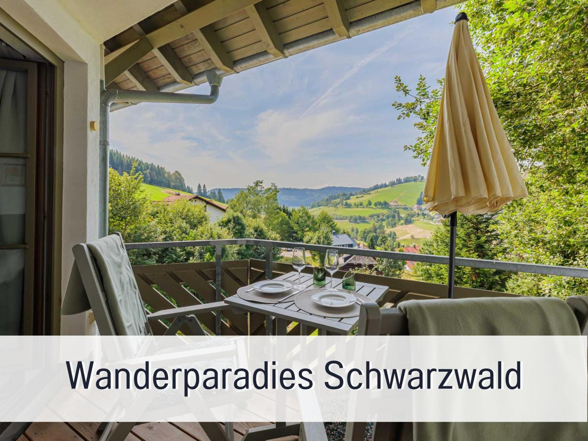 Herzgruen Direkt An Traumhaften Wanderwegen Balkon Mit Toller Aussicht Sauna Im Haus Tiefgarage E-Ladestation Todtnauberg Kültér fotó